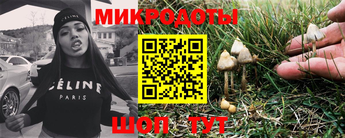 Галлюциногенные грибы мухоморы Химки